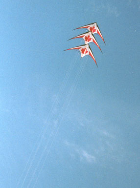 Three kites flying in the sky