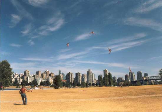 Flying of three kites in large sky