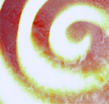 Picture of spiral depicting new possibilities